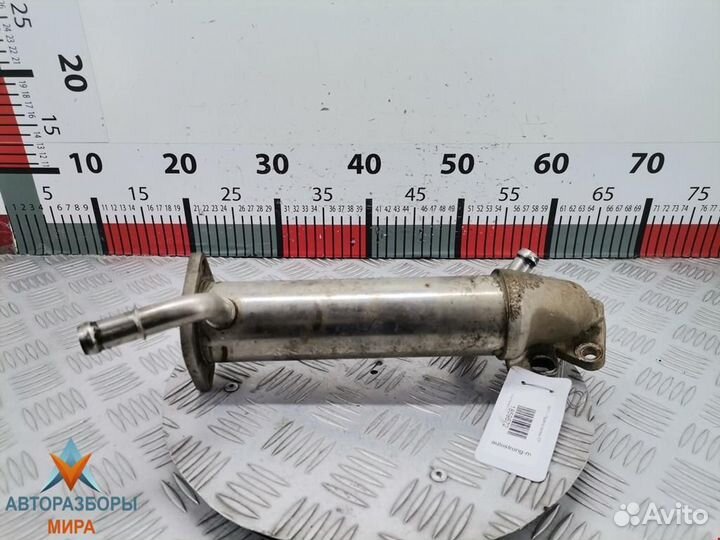 Охладитель EGR / Радиатор EGR Ford Transit Custom