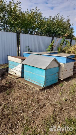 Ульи для пчел бу