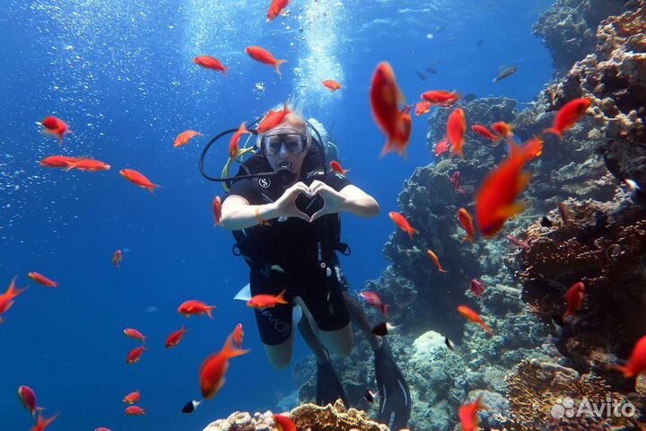 Египет из Калининграда на Майские