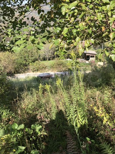 Участок 5,5 сот. (СНТ, ДНП)