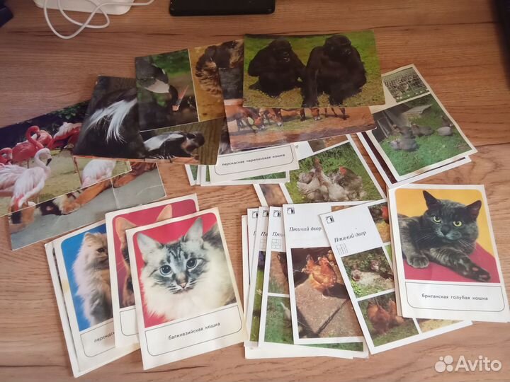 Открытки СССР