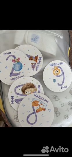 Кокон зевушка