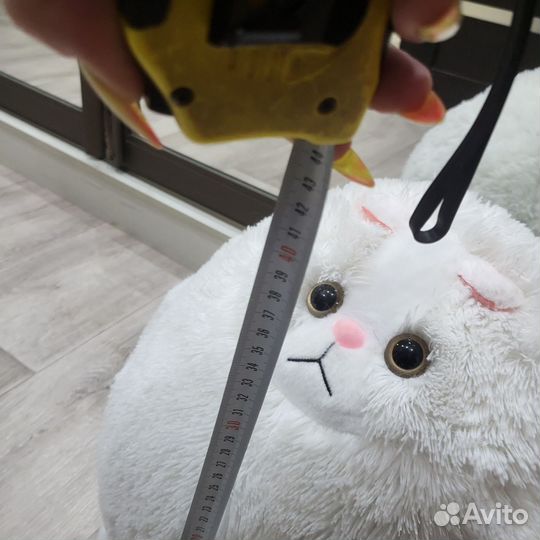 Кот Беляш