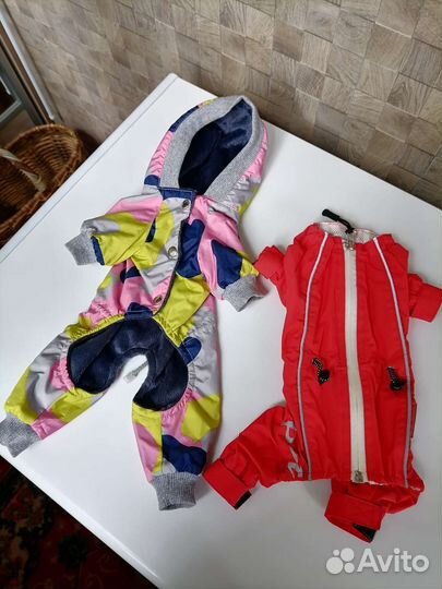 Одежда для мини собак