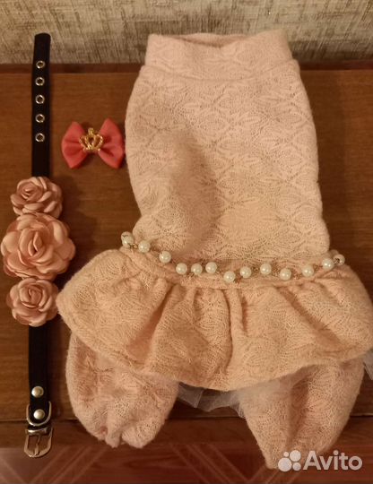 Одежда для собак мелких пород