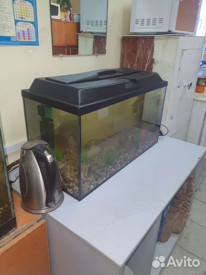 Аквариум