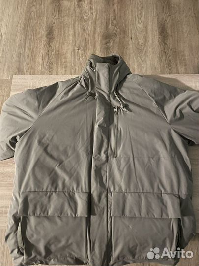 Курка весенняя