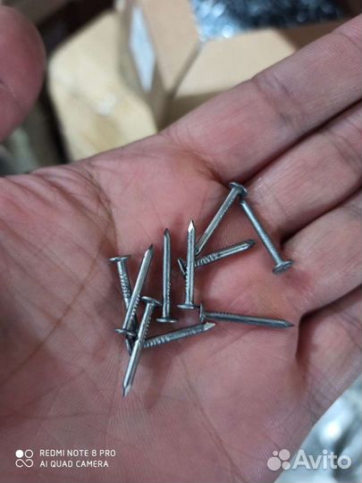 Гвозди толевые (наличие)