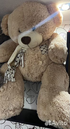 Мишка Тедди