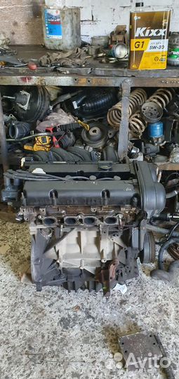 Двигатель ford focus 2 1.6