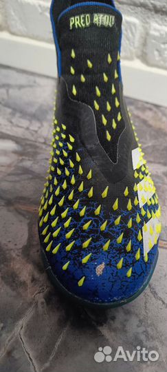 Сороконожка