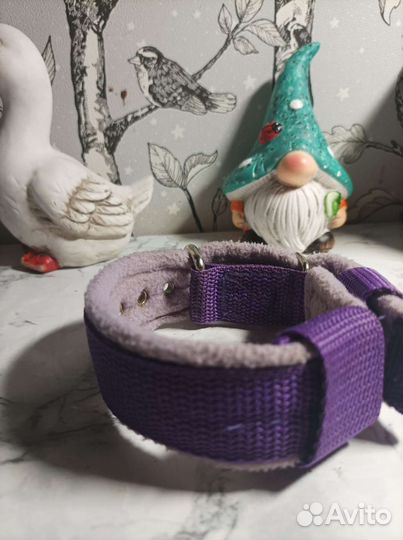 Ошейник для собак