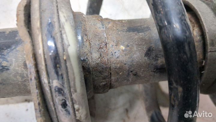 Амортизатор подвески Infiniti Q50, 2015