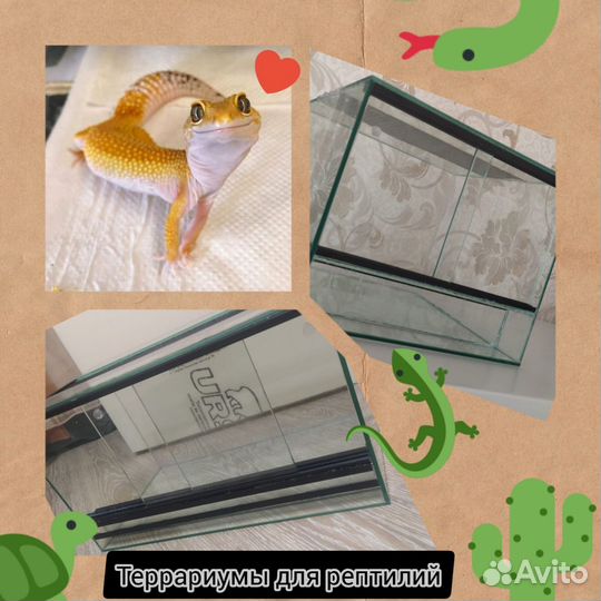 Террариум для рептилий/ящериц на заказ