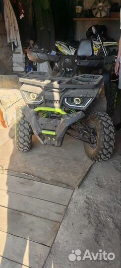 Avantis hunter 200 new lux