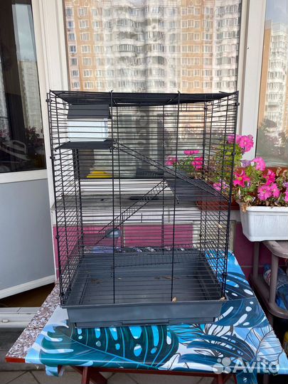 Клетка для крыс