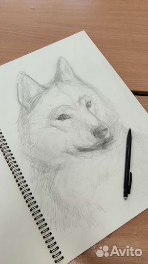 Художник. Рисую