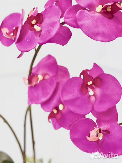 Орхидея искусственная. Интерьерная композиция