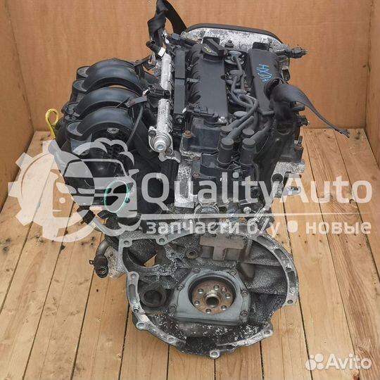Двигатель Ford Focus 1.6 л hxda
