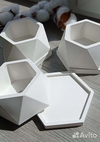 Кашпо для суккулентов/кактусов/гипсовое кашпо