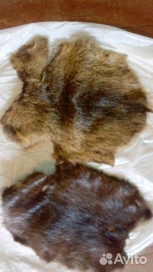 Шкура норки