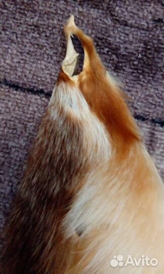 Воротник-опушка капюшона-\ Канадская лиса\