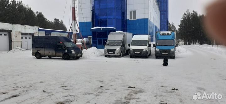 Водитель экспедитор категория в