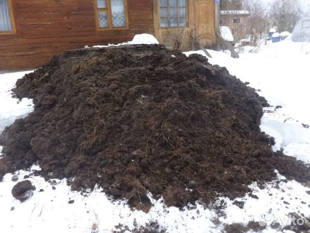 Удобрение навоз весной