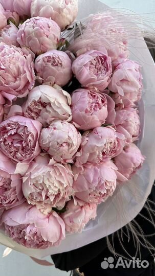 Букет из пионов. 31 штука