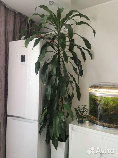 Аквариум с рыбками, насосом и пр