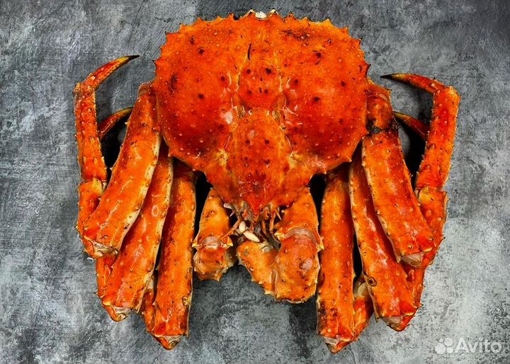 Клешни камчатского краба