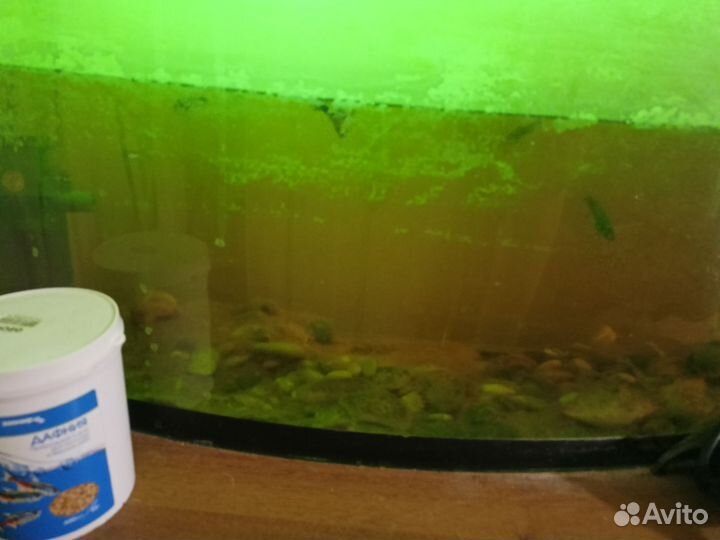 Аквариум с рыбками