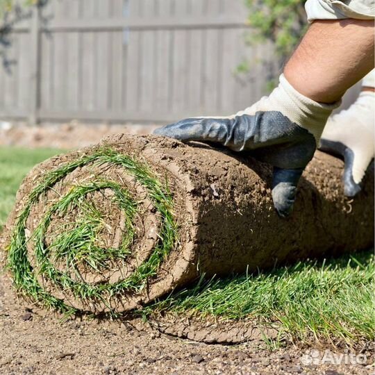 Рулонный газон под ключ