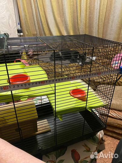 Клетка для грызунов