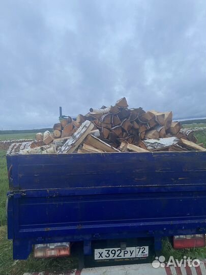Дрова сухие береза