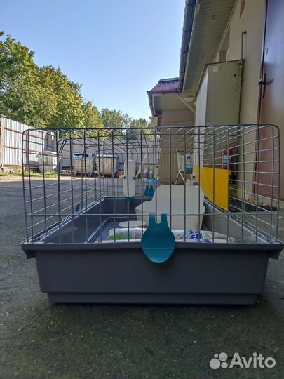 Клетки для кроликов бу