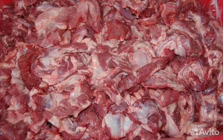 Обрезь говяжье,свиная для собак