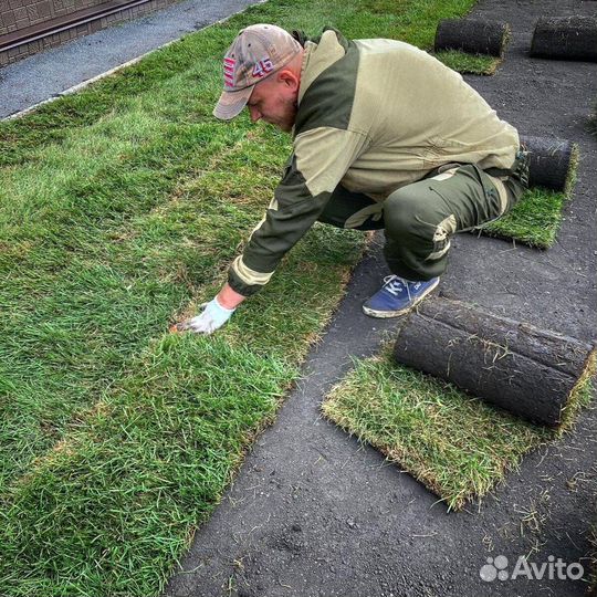 Рулонный газон с укладкой от производителя