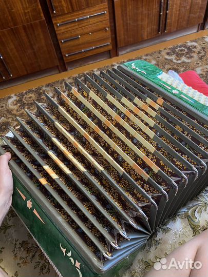 Гармонь Беларусь