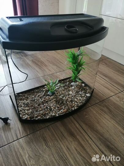 Аквариум 60 литров, аксессуары