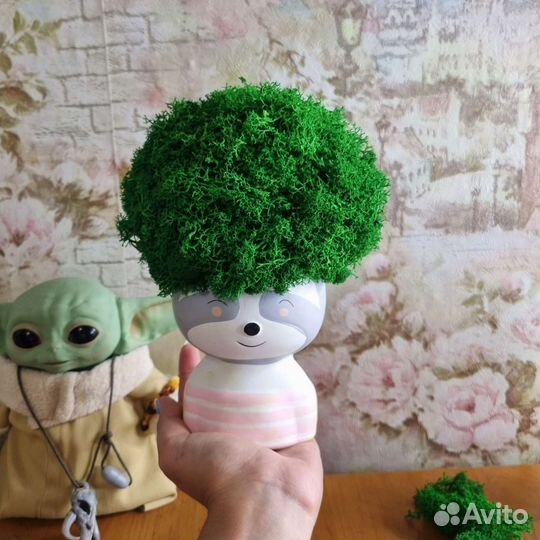 Декор со стабилизированным мхом