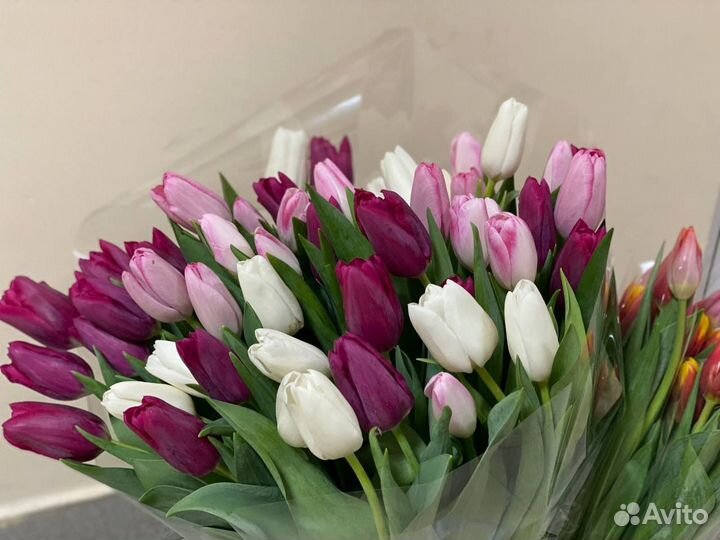 Тюльпаны к 8 марта розница/ опт