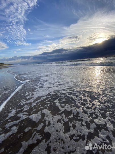 Индивидуальные экскурсии на Куршскую косу