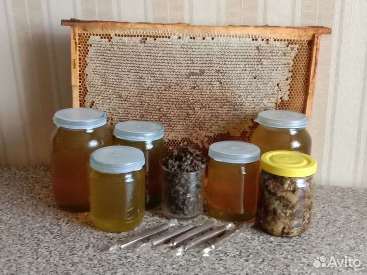 Мед урожай 2023