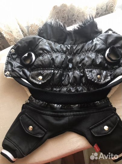 Одежда для маленьких собак