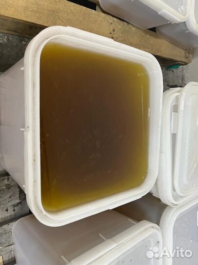 Мед майский оптом