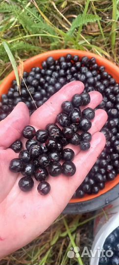 Продукты питания
