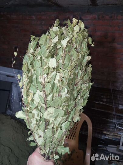 Березовые веники