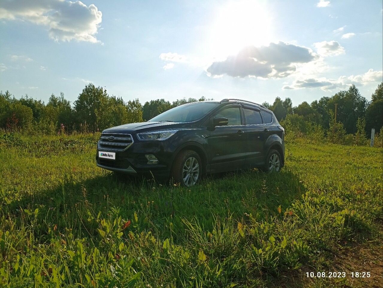 Ford Kuga: фото владельца