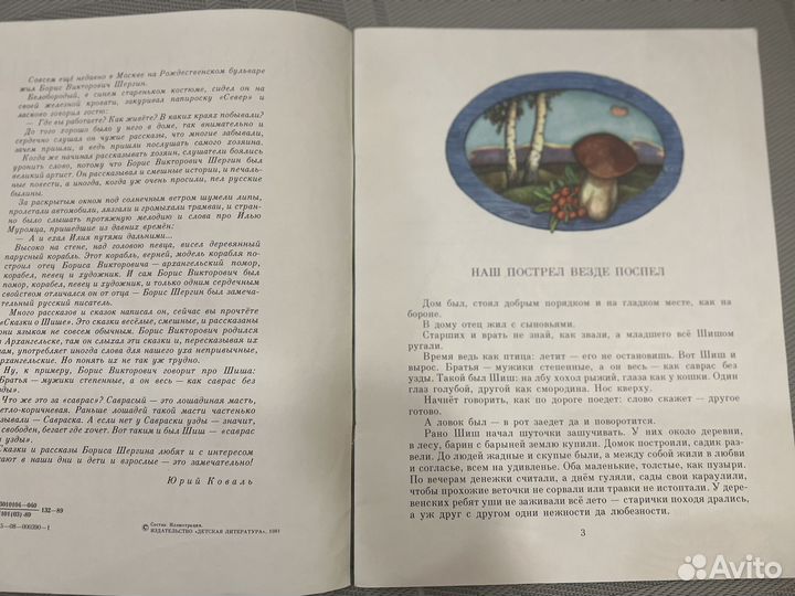 Детские книги СССР Сказки о шише